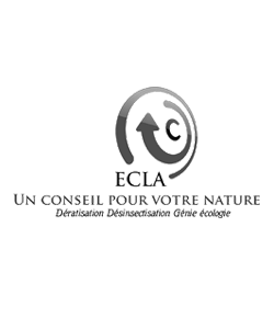 logo de l'enseigne ecla produits