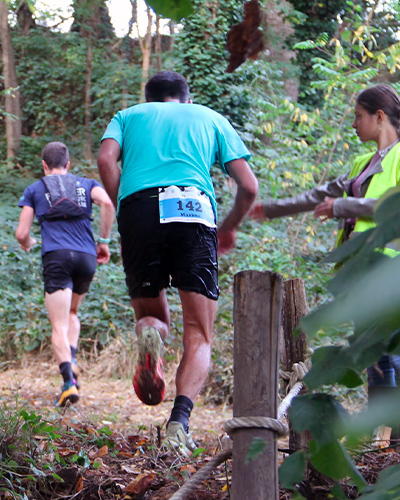 image de coureurs de dos prenant un chemin forestier
